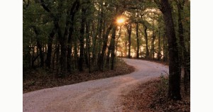 L’avaria nel viaggio che conduce dal desiderio di essere genitori allo scoprirsi Figli (2)
